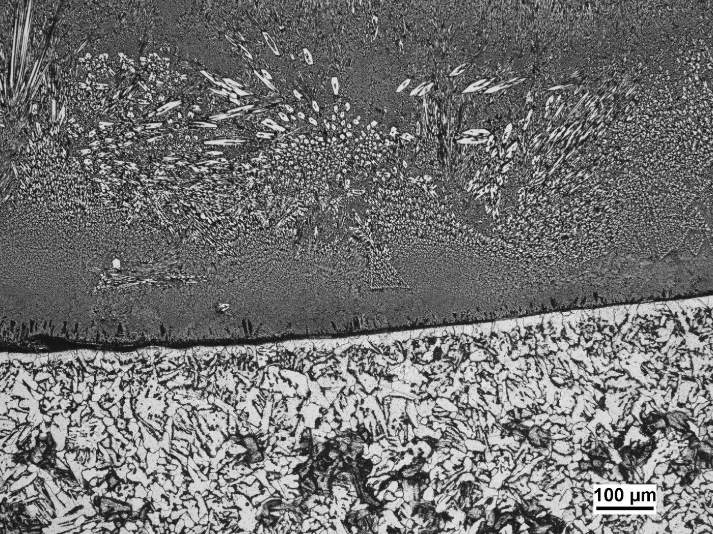 Micrograph of the fusion line between overlay and base steel showing a continuous metallurgical bond
